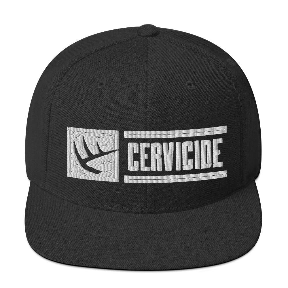 Snapback Hat