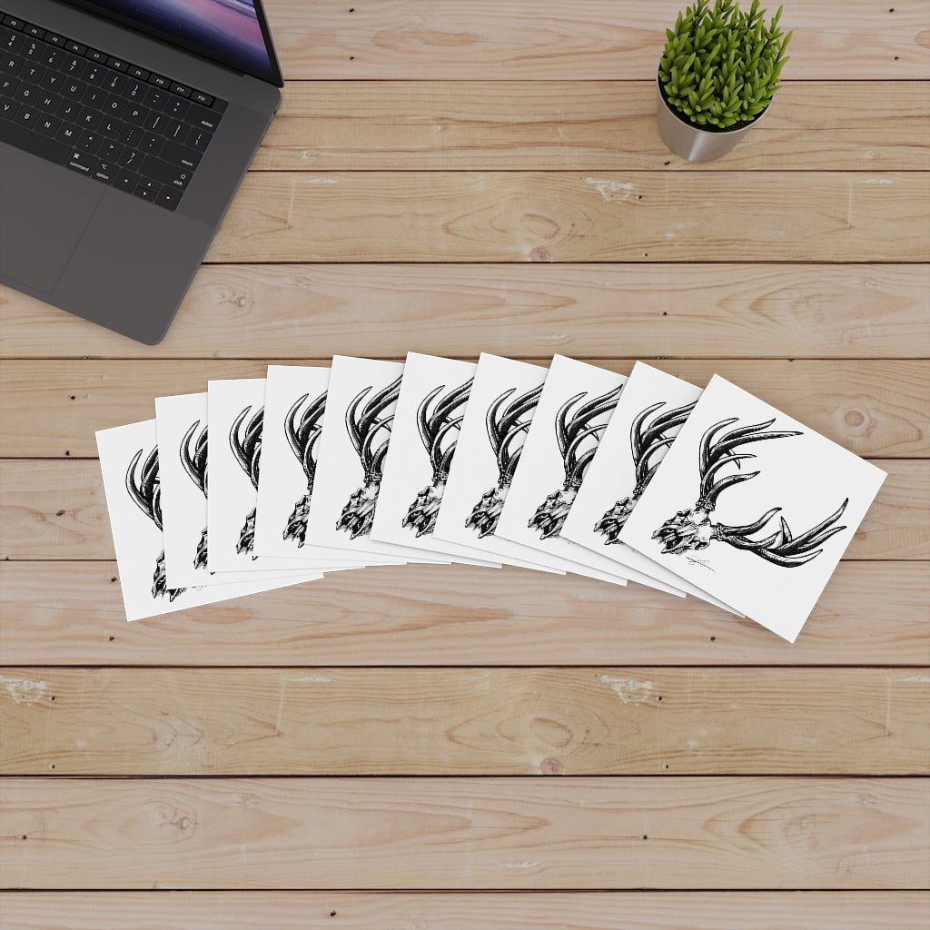 Bone Head Laminate Stickers, Square