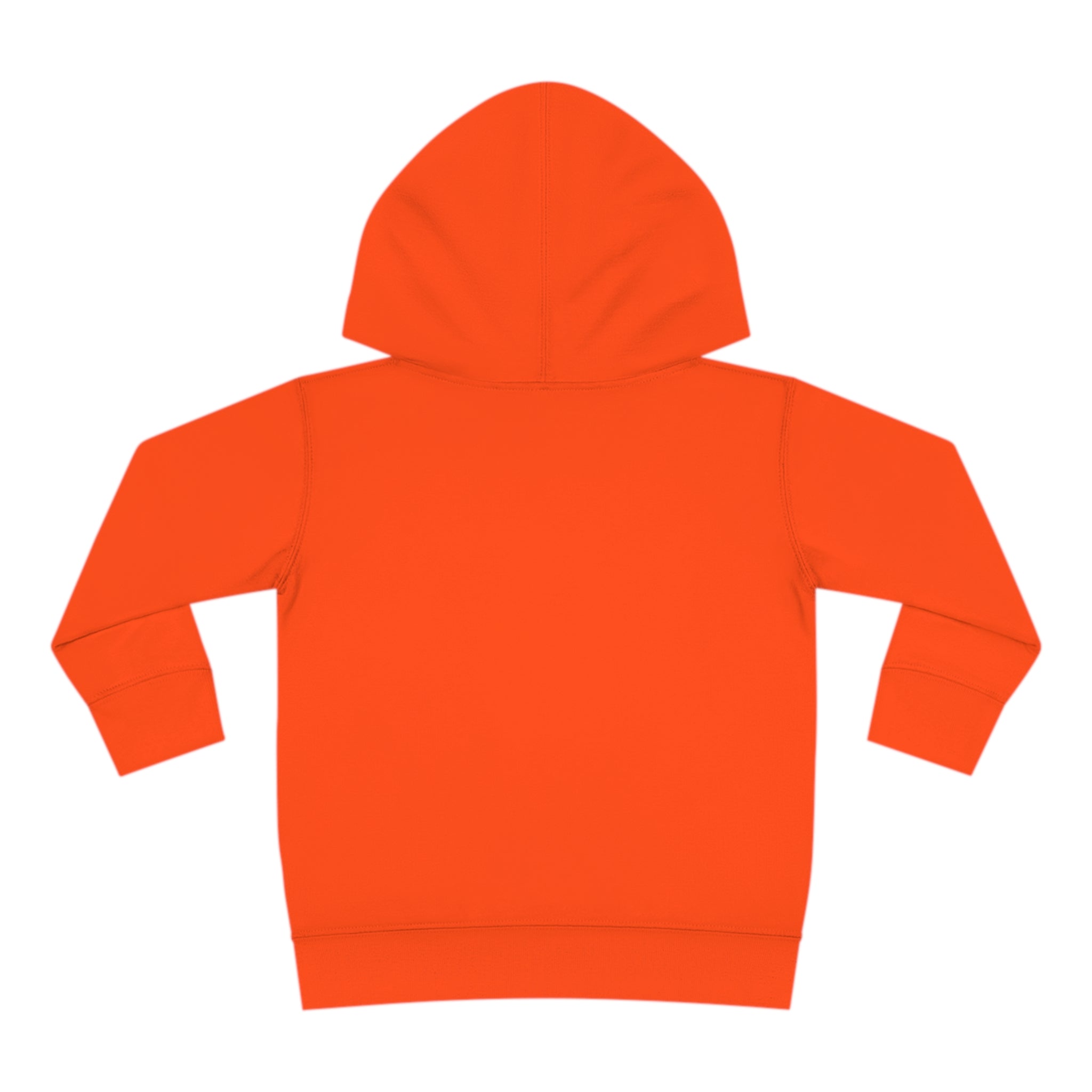 Retro Vision Toddler Pullover Fleece Hoodie