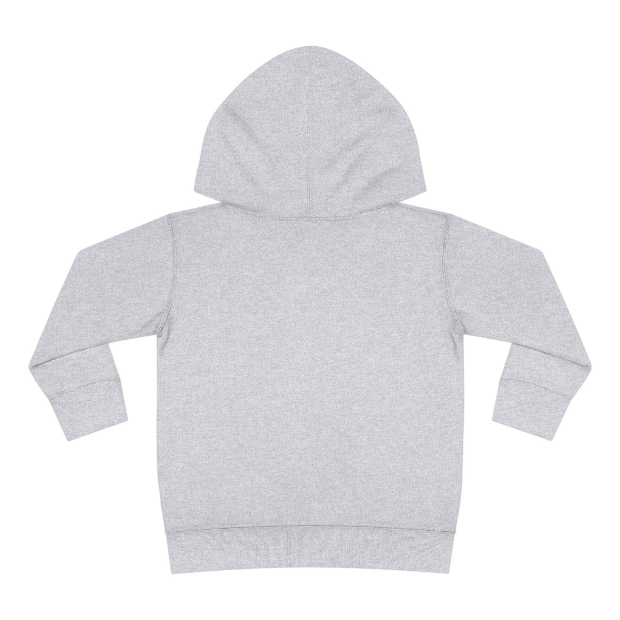 Retro Vision Toddler Pullover Fleece Hoodie