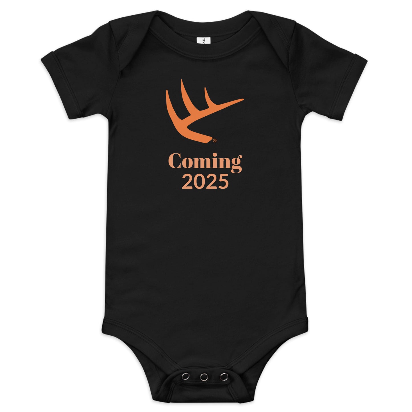 Baby Announcement 2025 Onesie